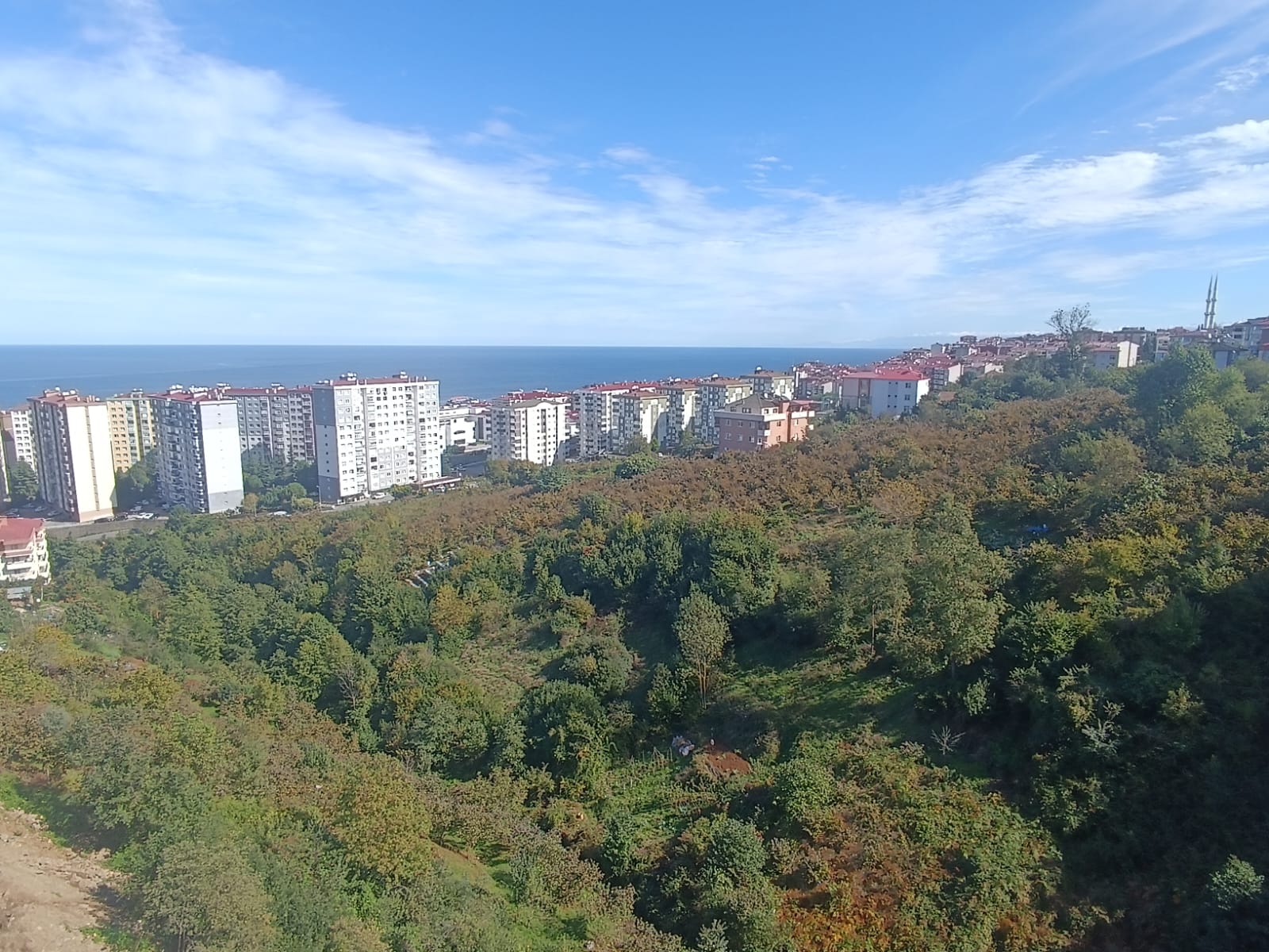 PELİTLİ MAH VATAN CAD NO'10 ÇİLEKLİ